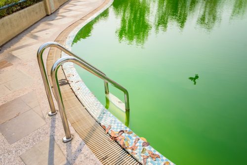 How to Clean Your Green Pool | Direct Energy